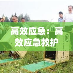高效應急：高效應急救護培訓標題怎么寫 