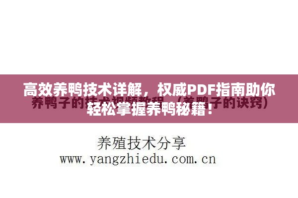高效養鴨技術詳解，權威PDF指南助你輕松掌握養鴨秘籍！