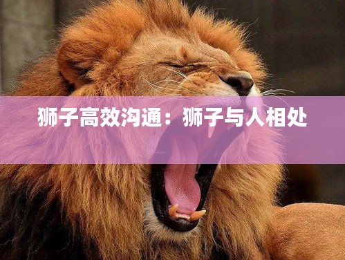 行百里者半九十 第3頁