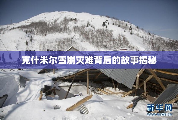 寥寥無幾 第3頁