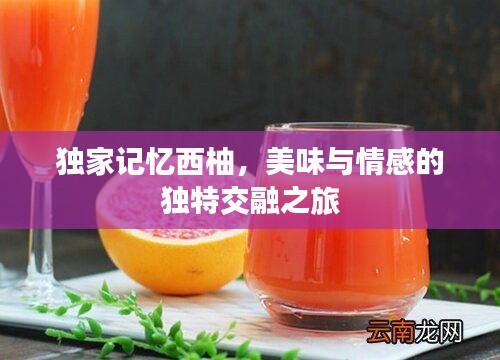 綱挈目張 第3頁