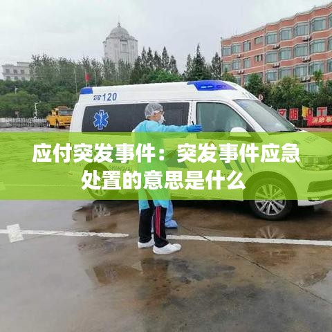 應(yīng)付突發(fā)事件：突發(fā)事件應(yīng)急處置的意思是什么 