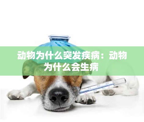 動(dòng)物為什么突發(fā)疾病：動(dòng)物為什么會(huì)生病 
