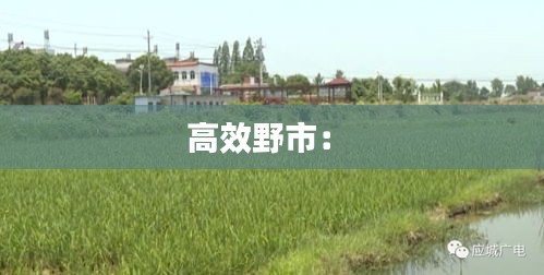 暗室屋漏 第3頁
