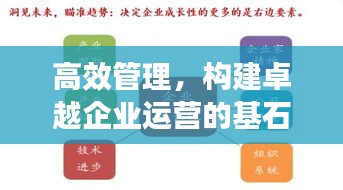 高效管理，構(gòu)建卓越企業(yè)運營的基石之道