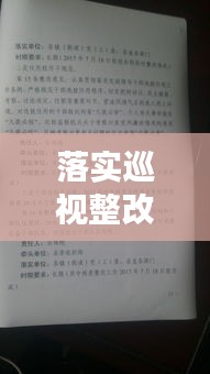 落實巡視整改的內(nèi)容：落實巡視整改意見 