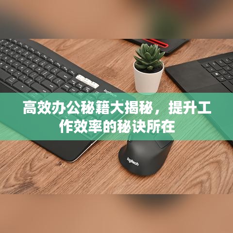 絕代佳人 第2頁