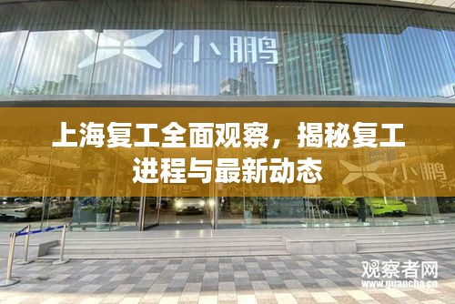 上海復(fù)工全面觀察，揭秘復(fù)工進(jìn)程與最新動(dòng)態(tài)