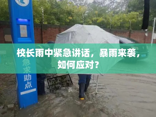 校長雨中緊急講話，暴雨來襲，如何應(yīng)對？