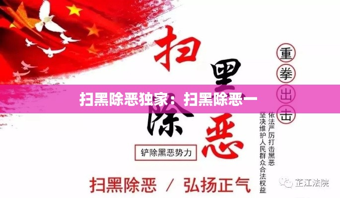 掃黑除惡獨家：掃黑除惡一 