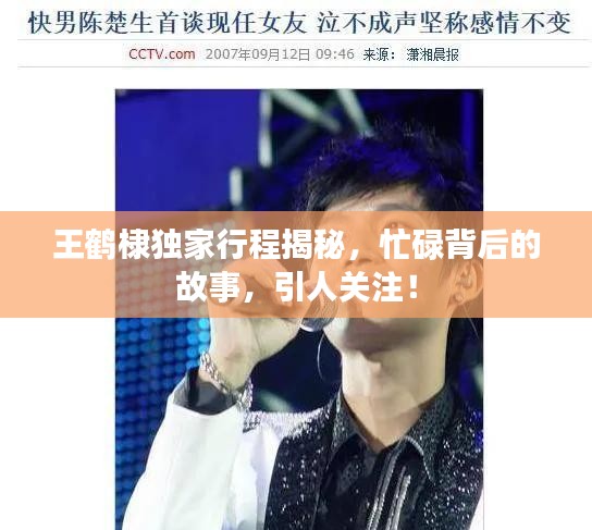 王鶴棣獨家行程揭秘，忙碌背后的故事，引人關注！