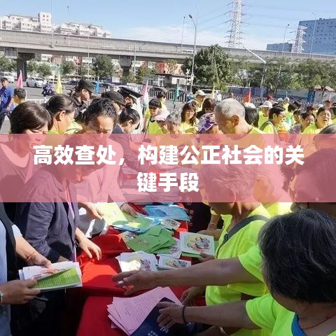 高效查處，構(gòu)建公正社會的關(guān)鍵手段