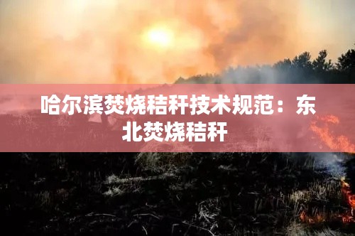 哈爾濱焚燒秸稈技術(shù)規(guī)范：東北焚燒秸稈 