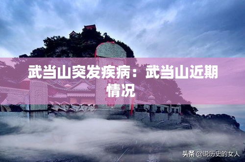 武當(dāng)山突發(fā)疾?。何洚?dāng)山近期情況 