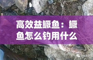 貴極人臣 第3頁