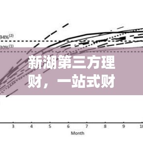 新湖第三方理財，一站式財富管理，打造您的理想投資新選擇！