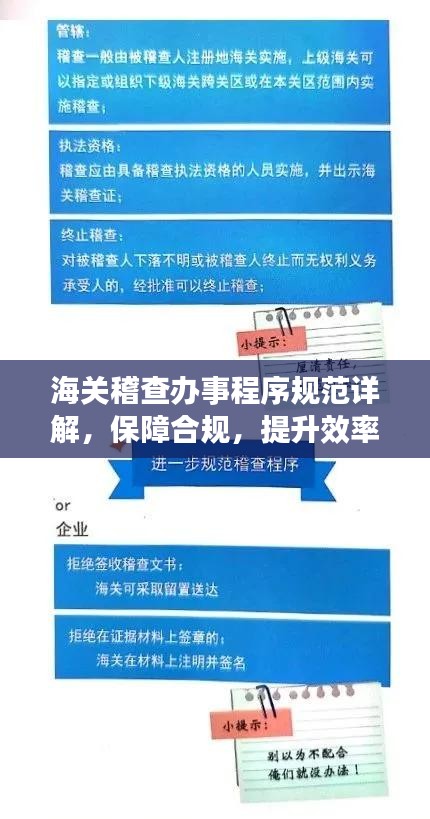 海關(guān)稽查辦事程序規(guī)范詳解，保障合規(guī)，提升效率
