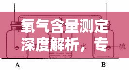 氧氣含量測定深度解析，專業方法與實用技巧