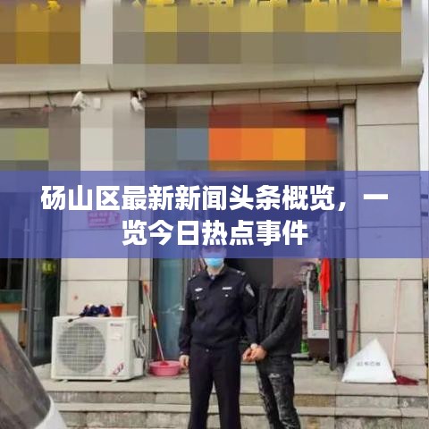 碭山區(qū)最新新聞頭條概覽，一覽今日熱點事件