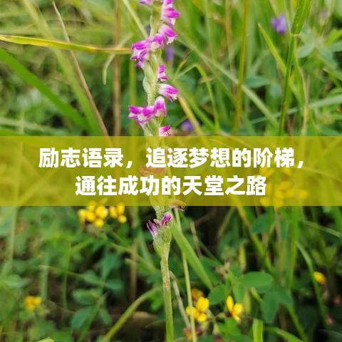 勵(lì)志語錄，追逐夢(mèng)想的階梯，通往成功的天堂之路