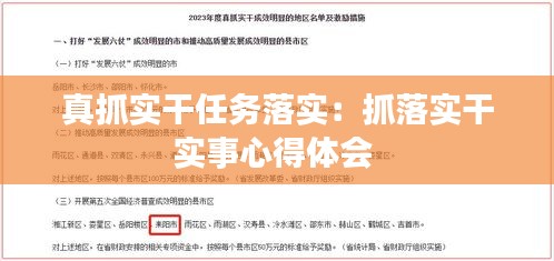 真抓實干任務(wù)落實：抓落實干實事心得體會 