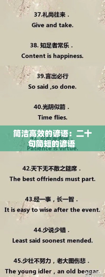 簡潔高效的諺語：二十句簡短的諺語 