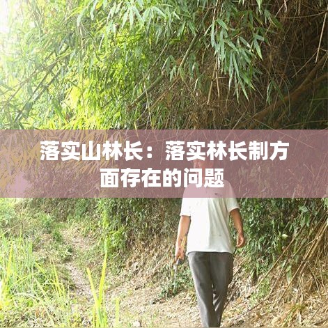 落實(shí)山林長：落實(shí)林長制方面存在的問題 
