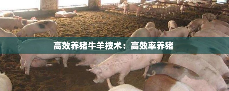 鳥云之陣 第2頁