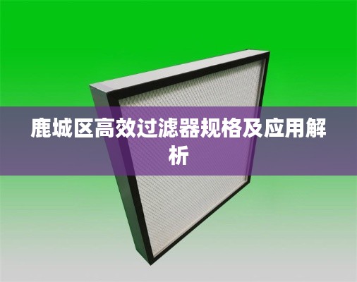 鹿城區(qū)高效過濾器規(guī)格及應用解析