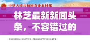 林芝最新新聞頭條，不容錯過的當地資訊速遞