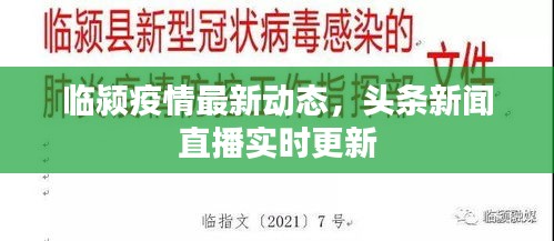 臨潁疫情最新動態，頭條新聞直播實時更新