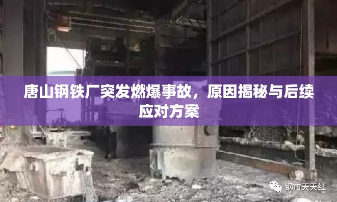 神采飛揚 第2頁