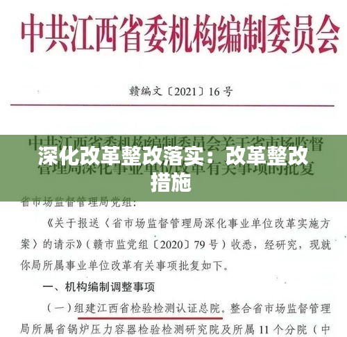 深化改革整改落實(shí)：改革整改措施 