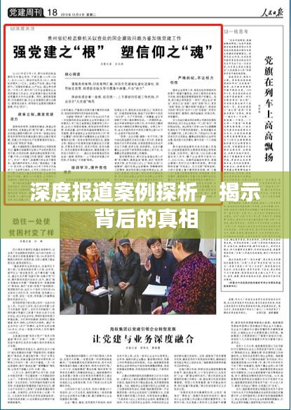 深度報道案例探析，揭示背后的真相