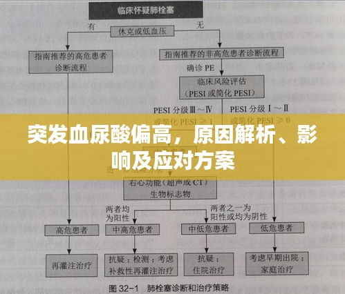 突發(fā)血尿酸偏高，原因解析、影響及應對方案