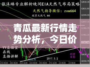 青瓜最新行情走勢(shì)分析，今日價(jià)格揭秘