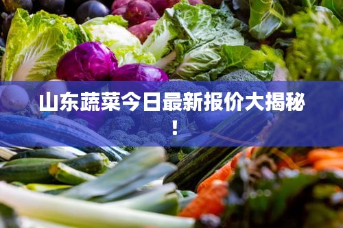 山東蔬菜今日最新報價大揭秘！