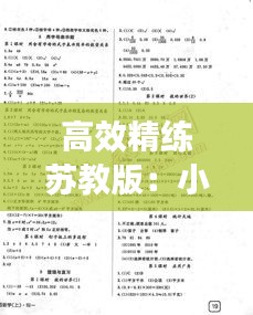 高效精練蘇教版：小學(xué)數(shù)學(xué)高效精練五年級(jí)下冊(cè)蘇教版答案 