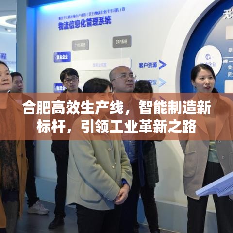 合肥高效生產(chǎn)線，智能制造新標桿，引領(lǐng)工業(yè)革新之路