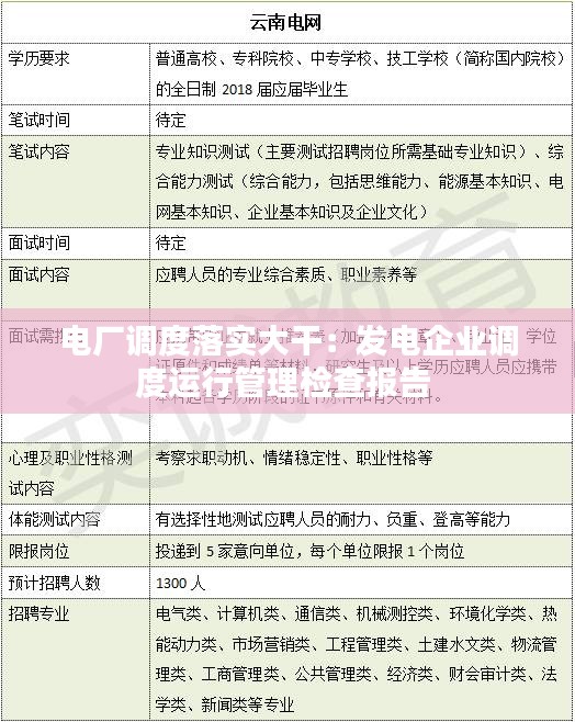 電廠調(diào)度落實(shí)大干：發(fā)電企業(yè)調(diào)度運(yùn)行管理檢查報(bào)告 
