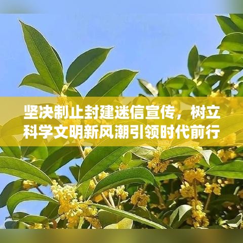 堅決制止封建迷信宣傳，樹立科學文明新風潮引領時代前行