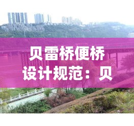 貝雷橋便橋設計規(guī)范：貝雷橋拆除施工方案 