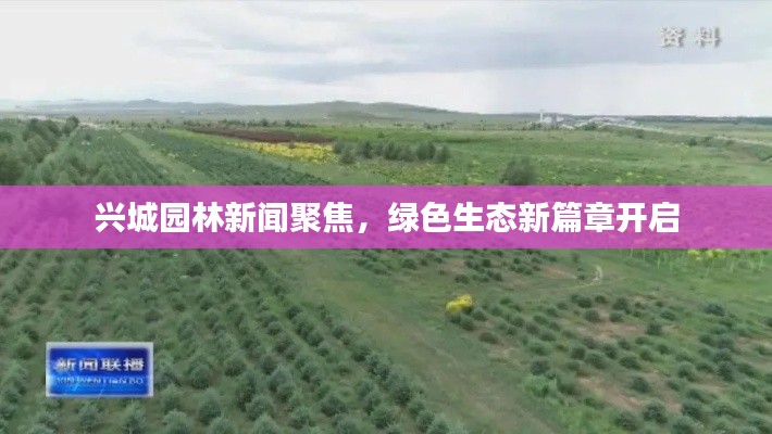興城園林新聞聚焦，綠色生態(tài)新篇章開啟