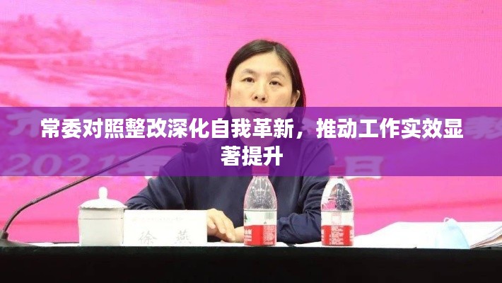 常委對照整改深化自我革新，推動工作實效顯著提升