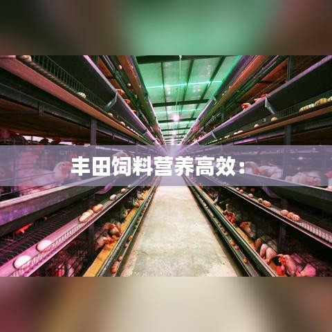 豐田飼料營(yíng)養(yǎng)高效： 