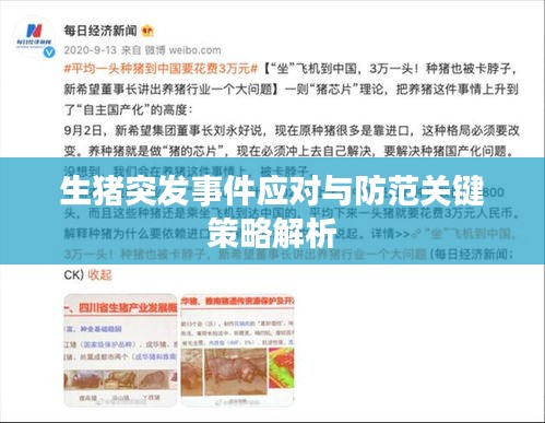 生豬突發(fā)事件應(yīng)對與防范關(guān)鍵策略解析