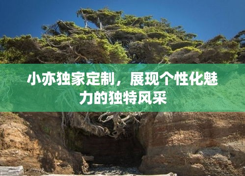 小亦獨家定制，展現個性化魅力的獨特風采