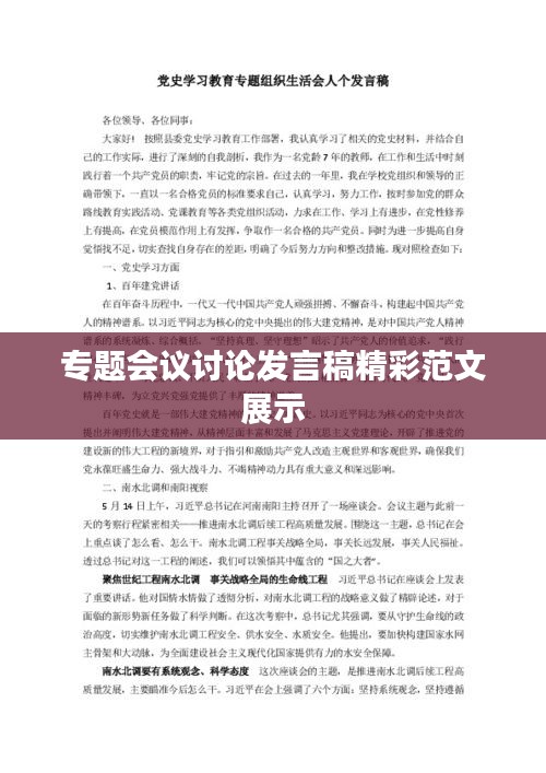 專題會議討論發言稿精彩范文展示