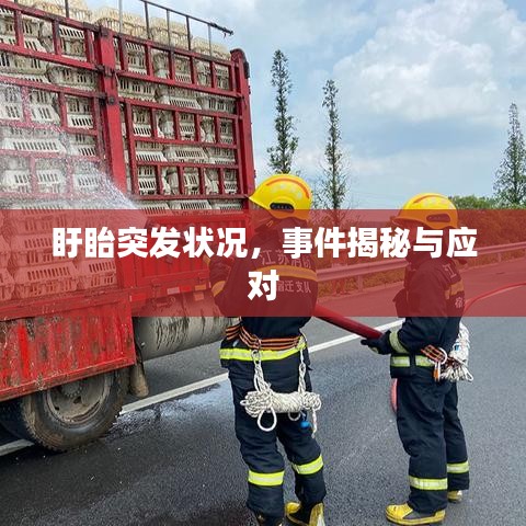 盱眙突發狀況，事件揭秘與應對