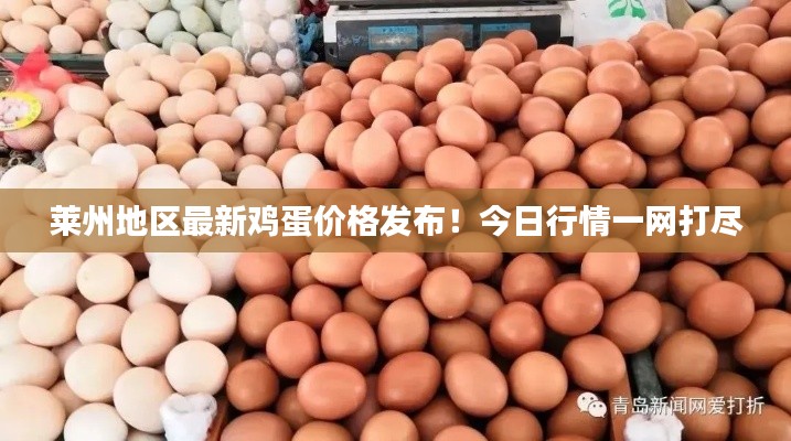 萊州地區(qū)最新雞蛋價格發(fā)布！今日行情一網(wǎng)打盡